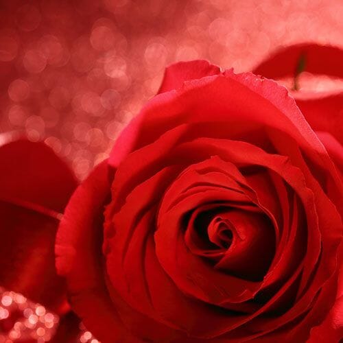 Wholesale Valentines Day
