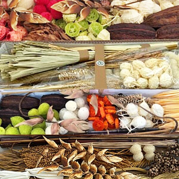 Dried Florals Bulk