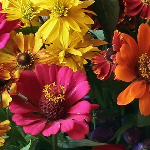 Festival Wedding Flowers