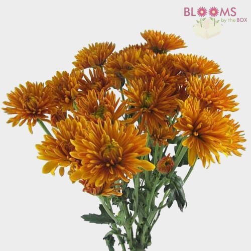 Cushion Pompon Bronze