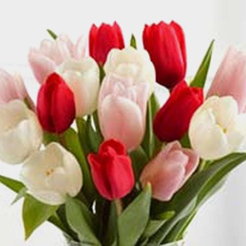Tulips Valentines Pack (R/W/P)