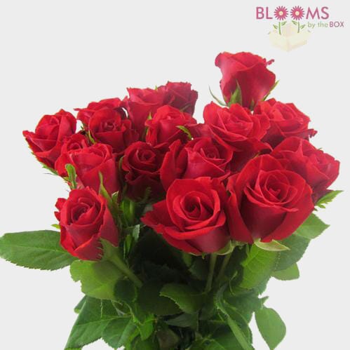 Sweetheart Roses Red