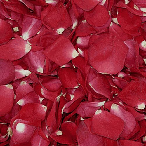 Ruby Red FD Rose Petals (30 Cups)