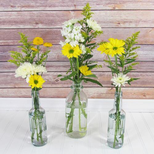 Blooms Enchanted Meadow Wildflower Pack 