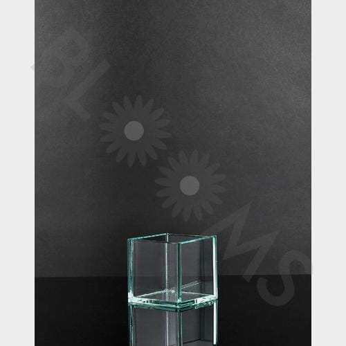 Xsmall Square Glass Vase (2.5