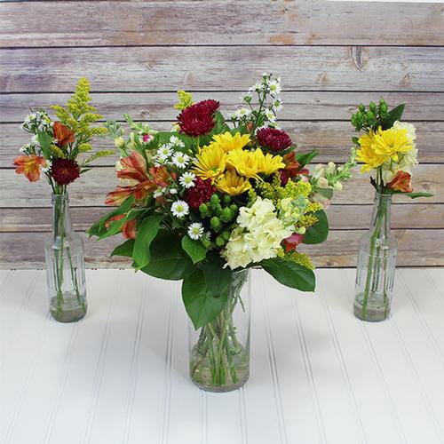 Blooms August Hay Ride Wildflower Pack
