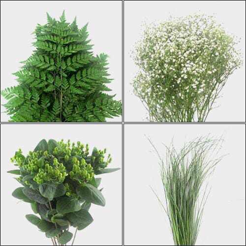 Classic Greens & Fillers Bulk Pack - Mini