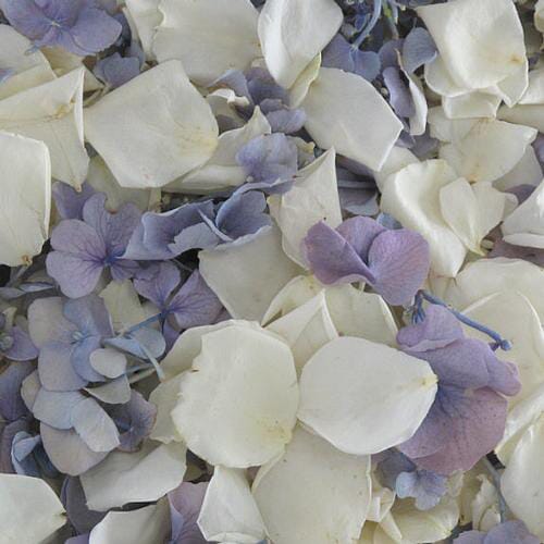 Something Blue Rose & Hydrangea Petals (30 Cups)