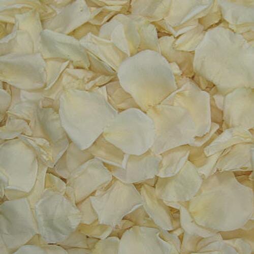 Bridal White Rose Petals (30 Cups)