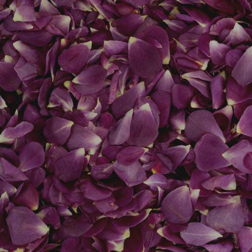 Ebb Tide Fd Rose Petals (30 Cups)