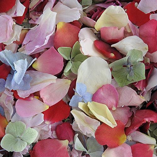Assorted Flower Petals (30 Cups)