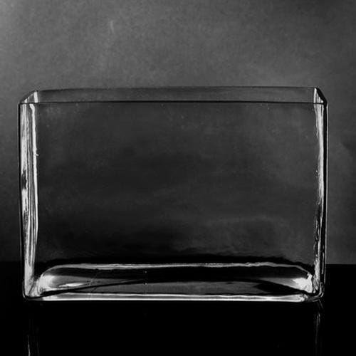 Large Rectangle Glass Vase (7