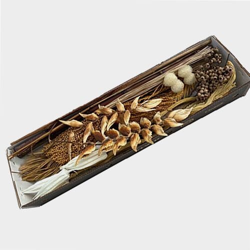 Designer Bleached Mini Box - Dried Floral Pack