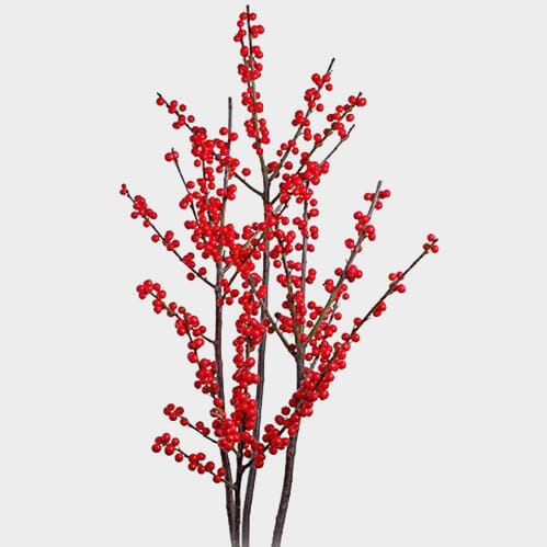 Winter Berry Branches 10 Lbs Case